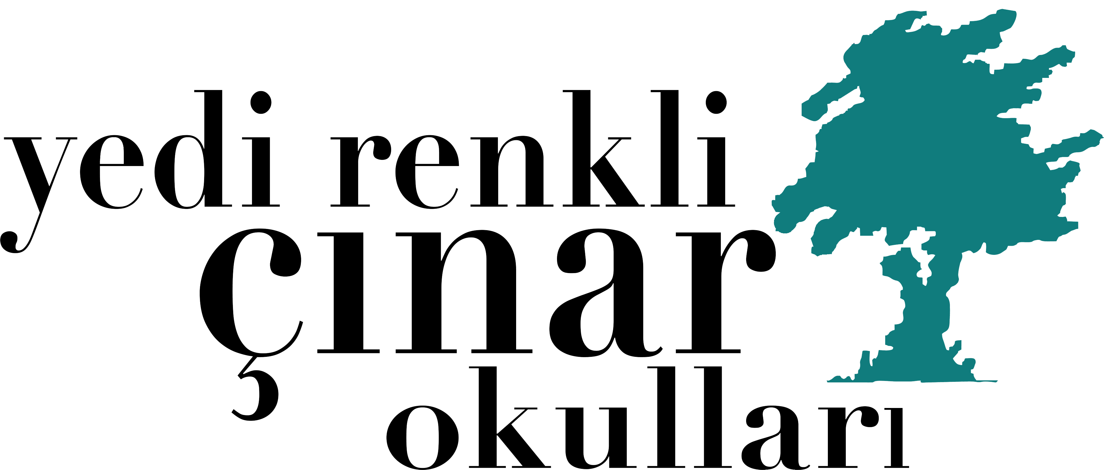 Yedi Renkli Çınar